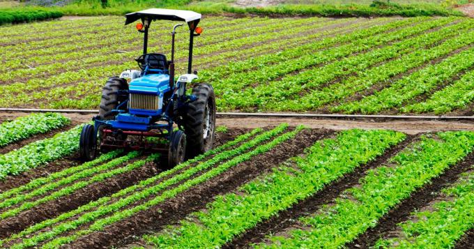 Bando ISI-INAIL da 4 milioni di euro per l'agricoltura laziale
